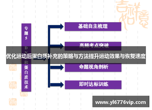 优化运动后蛋白质补充的策略与方法提升运动效果与恢复速度