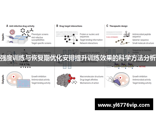 强度训练与恢复期优化安排提升训练效果的科学方法分析