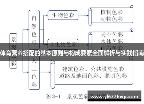 体育营养搭配的基本原则与构成要素全面解析与实践指南